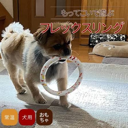 パピー用やわらかリング
