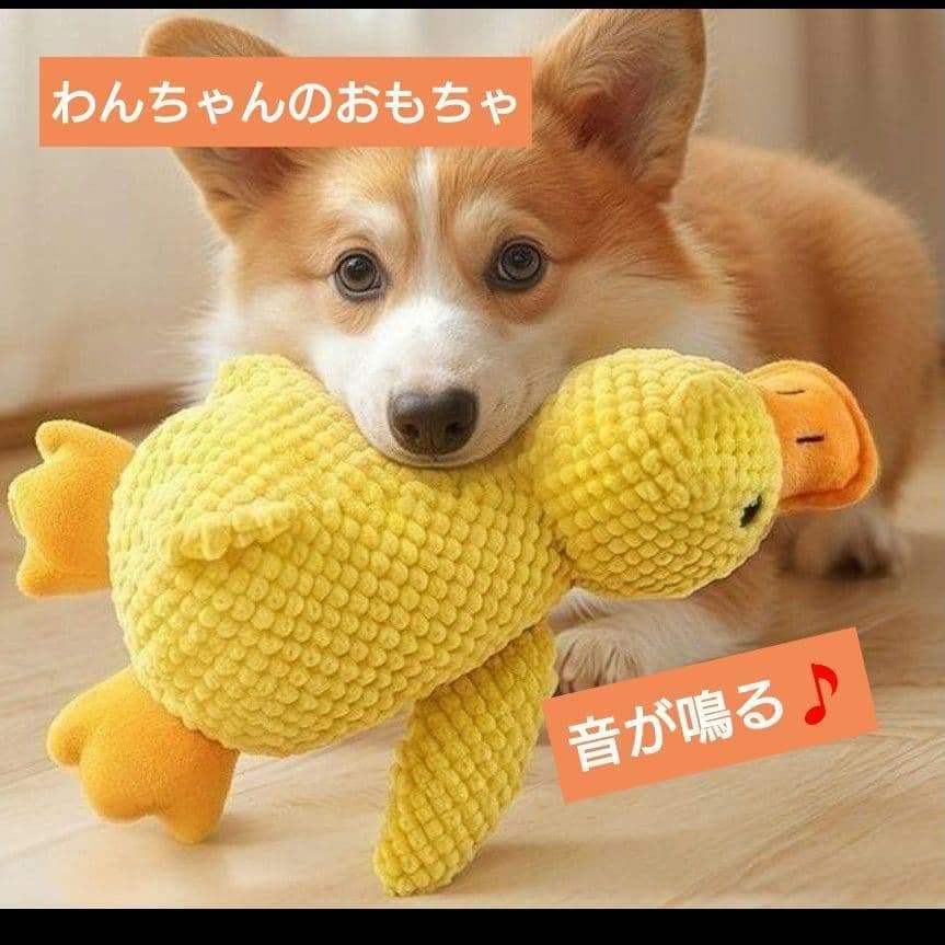 アヒル鳴き笛トイ
